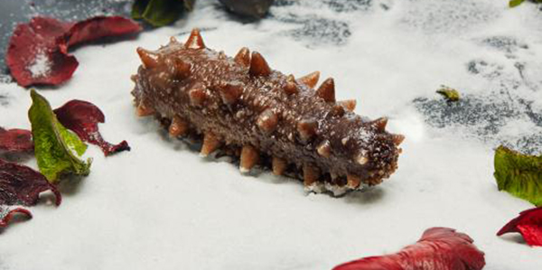 怎樣快速的區分淡干海參、鹽干海參和凍干海參？